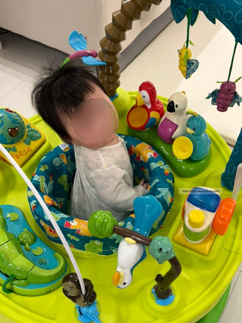 아마존 쏘서 대여 후기조립방법 사용시간 발높이 사용시기