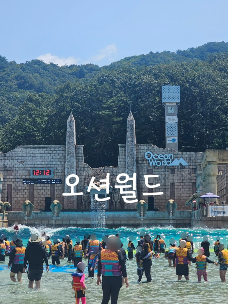 강원도 홍천 오션월드 셔틀버스 어트랙션 먹거리 평일 방문 후기