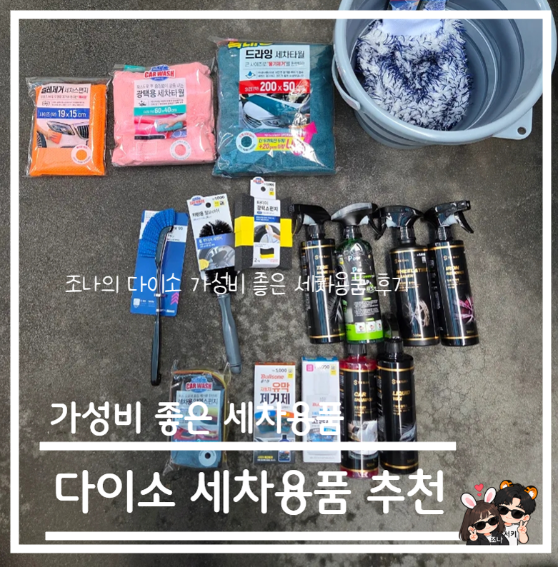 가성비 좋은 다이소 세차 용품으로 손 세차 사용 후기 (더 클래스 카샴푸, 버그 클리너, 타월)