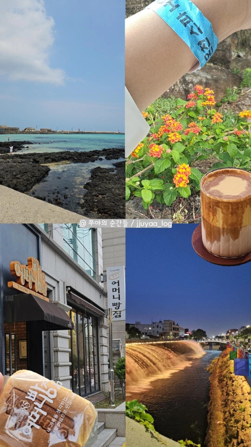 뚜벅이 제주 살이 13일차 | 세화민속오일장, 세화 해수욕장 구 제주 온천 ♨️ 오레브핫스프....