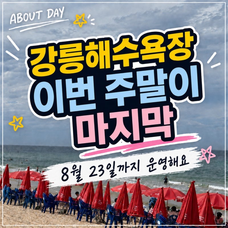 2026 강릉해수욕장 폐장일 이번주가 마지막 다음주에 가면 물놀이 못해요