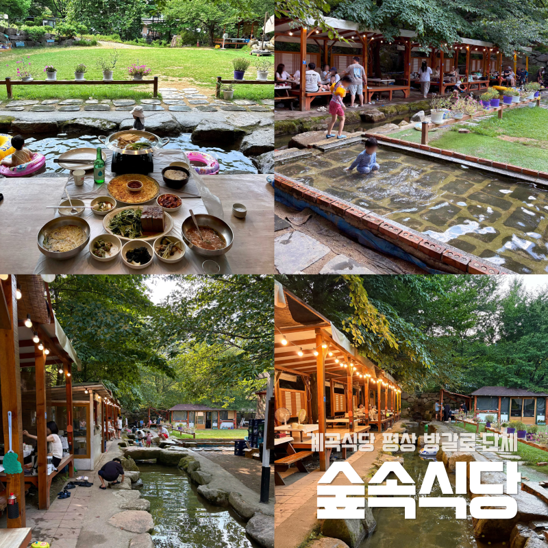 [경북/경산] 대구 근교 아이랑 대구 물놀이 식당 팔공산 계곡 식당 추천 숲속식당ㅣ계곡 물놀....