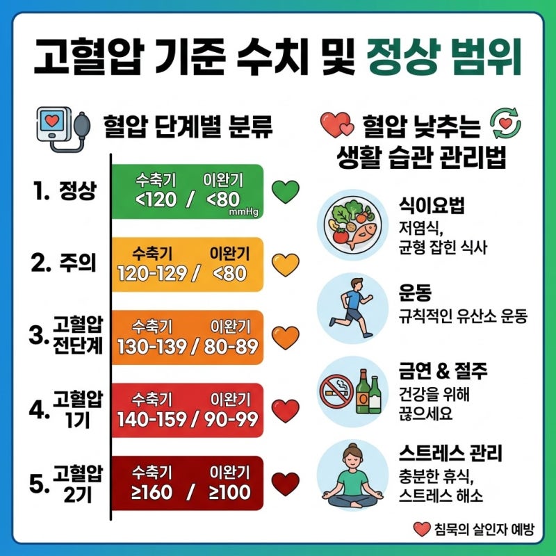 고혈압 기준 수치 및 정상 범위 단계별 정리와 혈압 낮추는 관리법