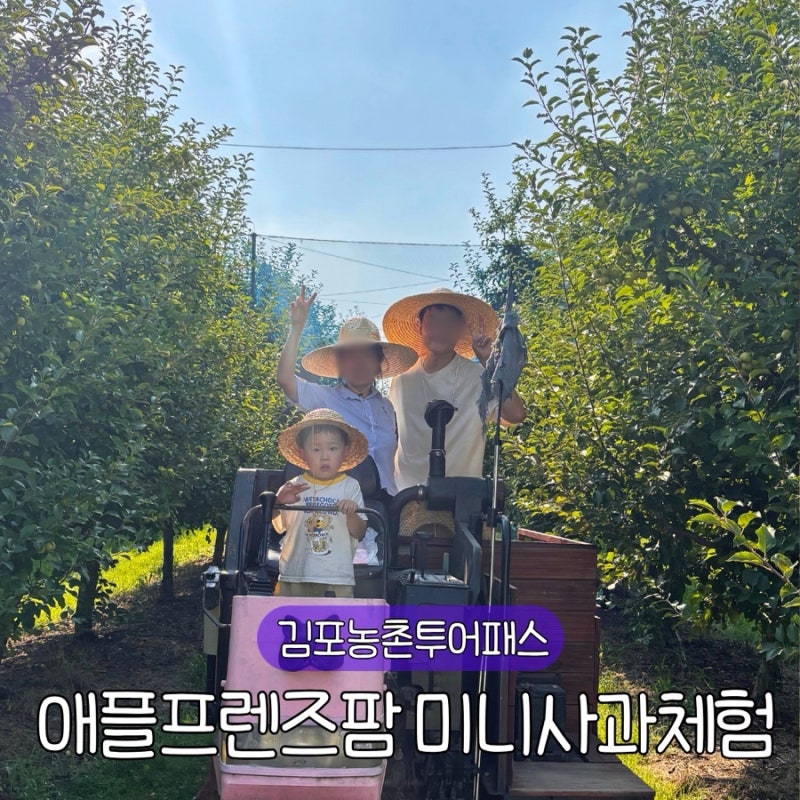 김포 아이와 가볼만한곳 애플프렌즈팜 농촌체험 김포투어패스 후기