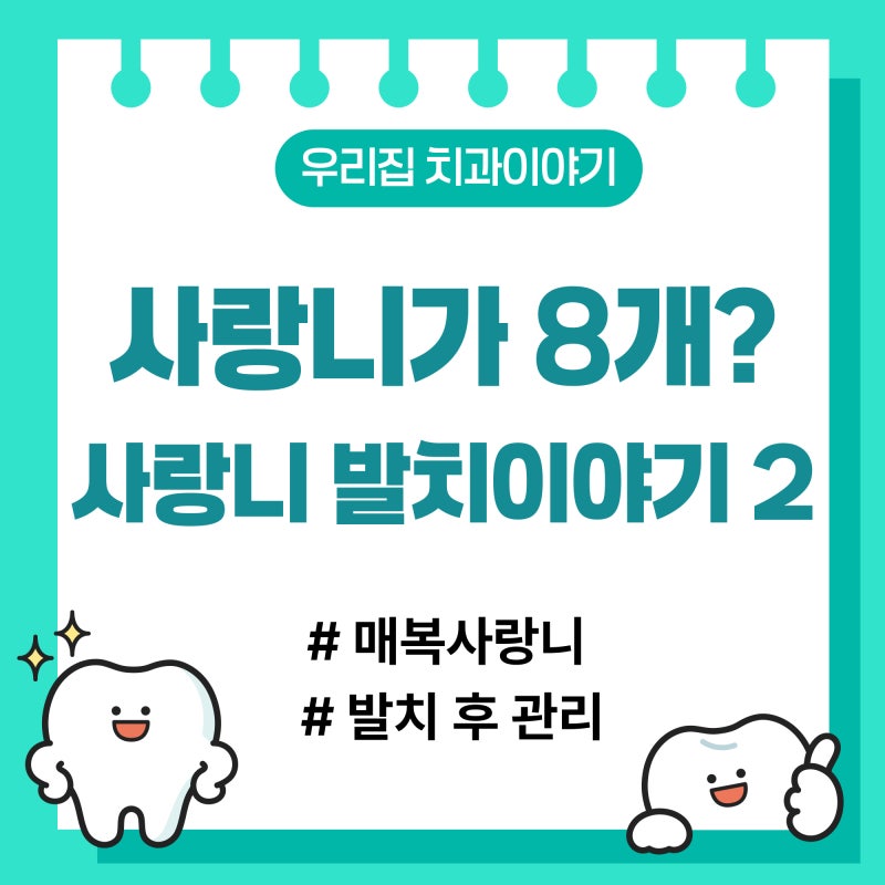 매복사랑니 발치 후기 ② 4개 동시 발치 후기｜통증·붓기부터 식사와 회복까지