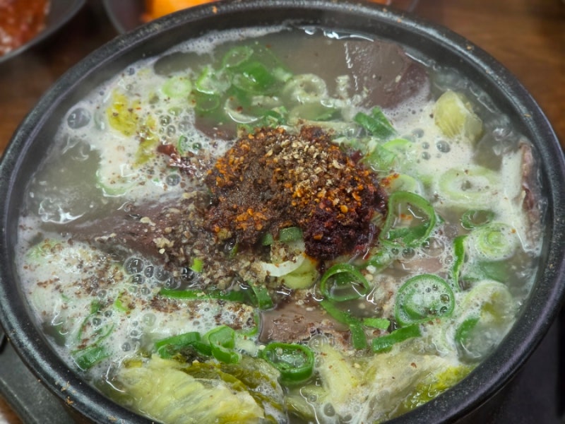 제주 함덕 맛집 함덕골목 본점 성시경 먹을텐데 해장국 내장탕 아침식사 추천 캐치테이블
