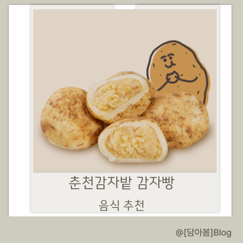 춘천 카페 감자밭 원조 감자빵 냉동 보관부터 데우기 꿀팁까지