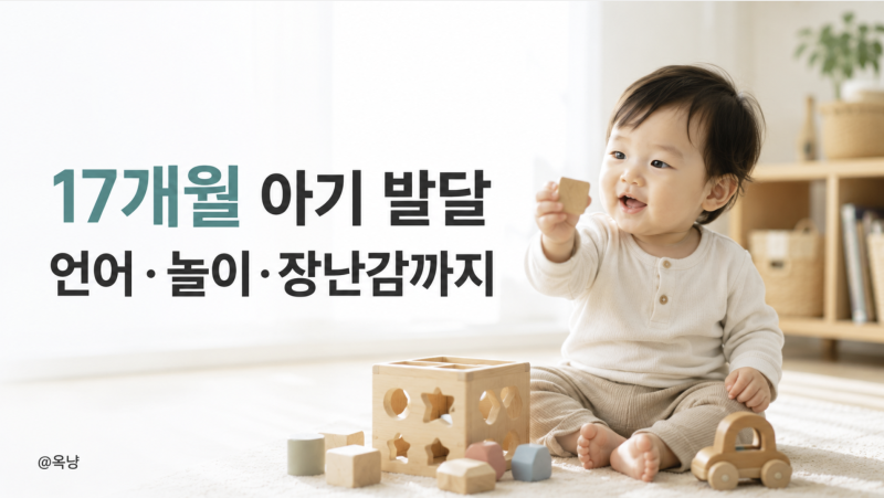 17개월 아기 발달 어느 정도? 언어 놀이 장난감까지
