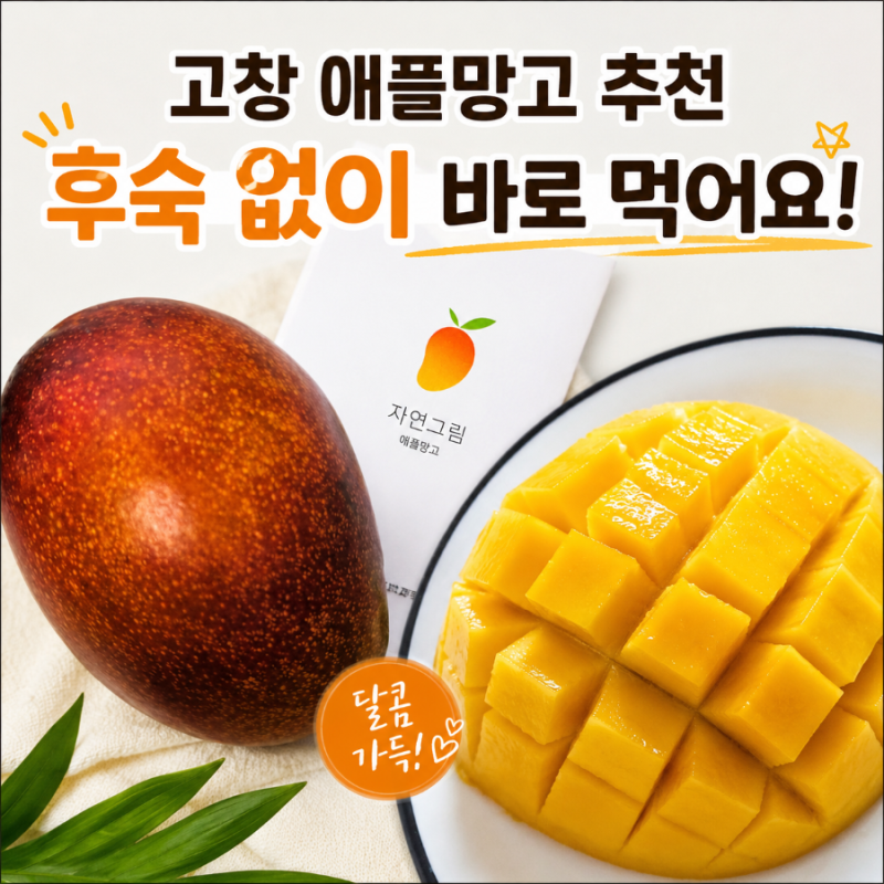 국산망고 고창 애플망고 추천｜후숙 없이 바로 먹는 자연그림 미니 애플망고 후기