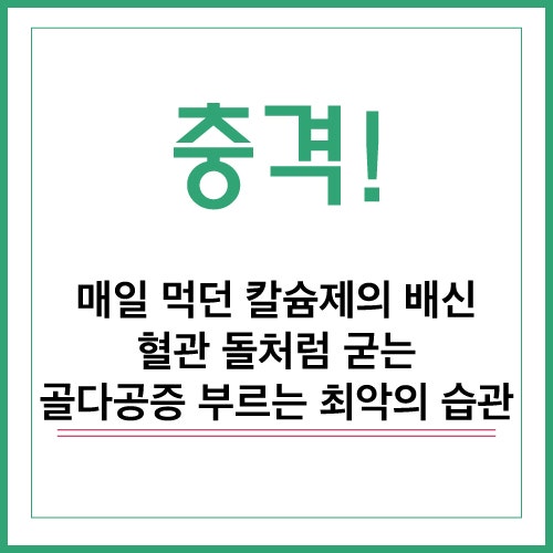 골다공증 영양제 추천: 칼슘 부작용 막는 비타민D3 비타민K2 섭취법