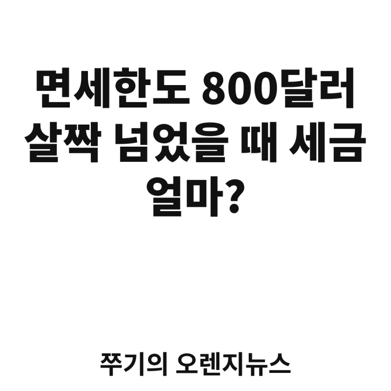 면세한도 800달러 살짝 넘었을 때 세금 얼마? 해외여행 후 입국시 자진신고 계산법