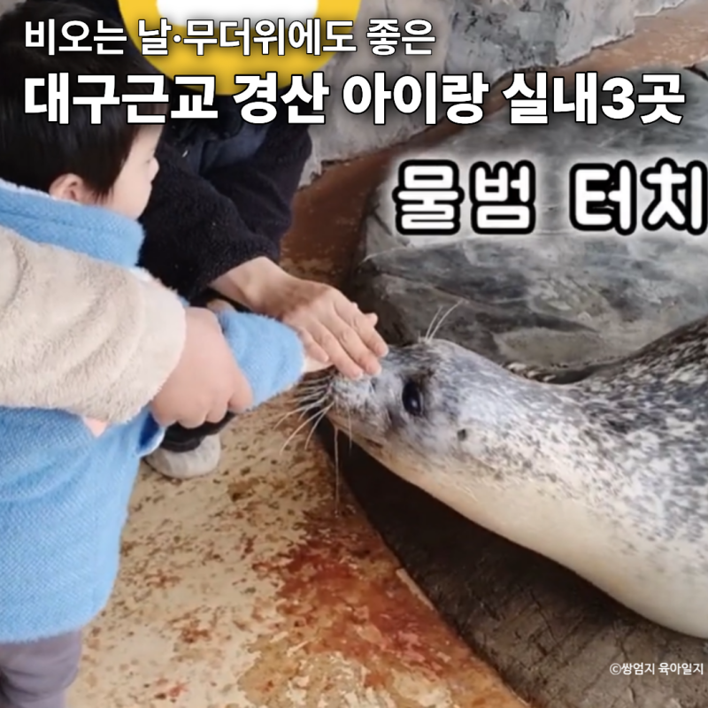 대구근교 경산 아이랑 실내 갈만한곳 3곳｜비 오는 날·무더위에도 좋은 경산 아이와 가볼만....