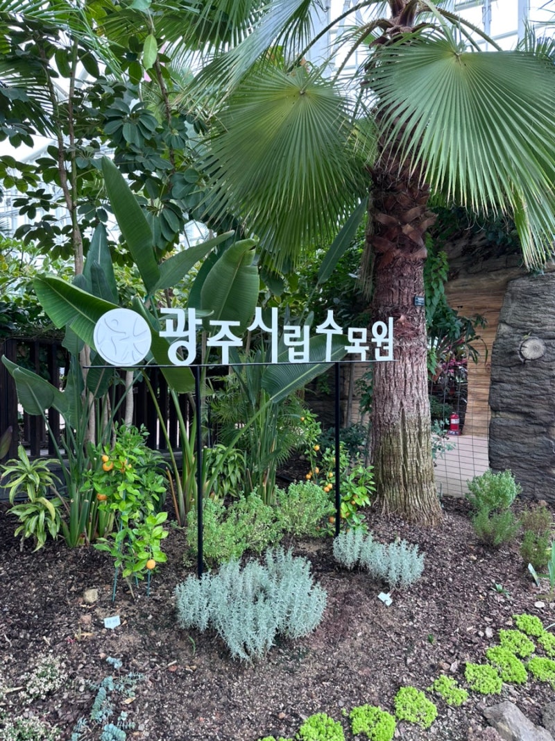 Gwangju, Jeollado Must-Visit Places: Municipal Arboretum Admission Fee, Parking Review