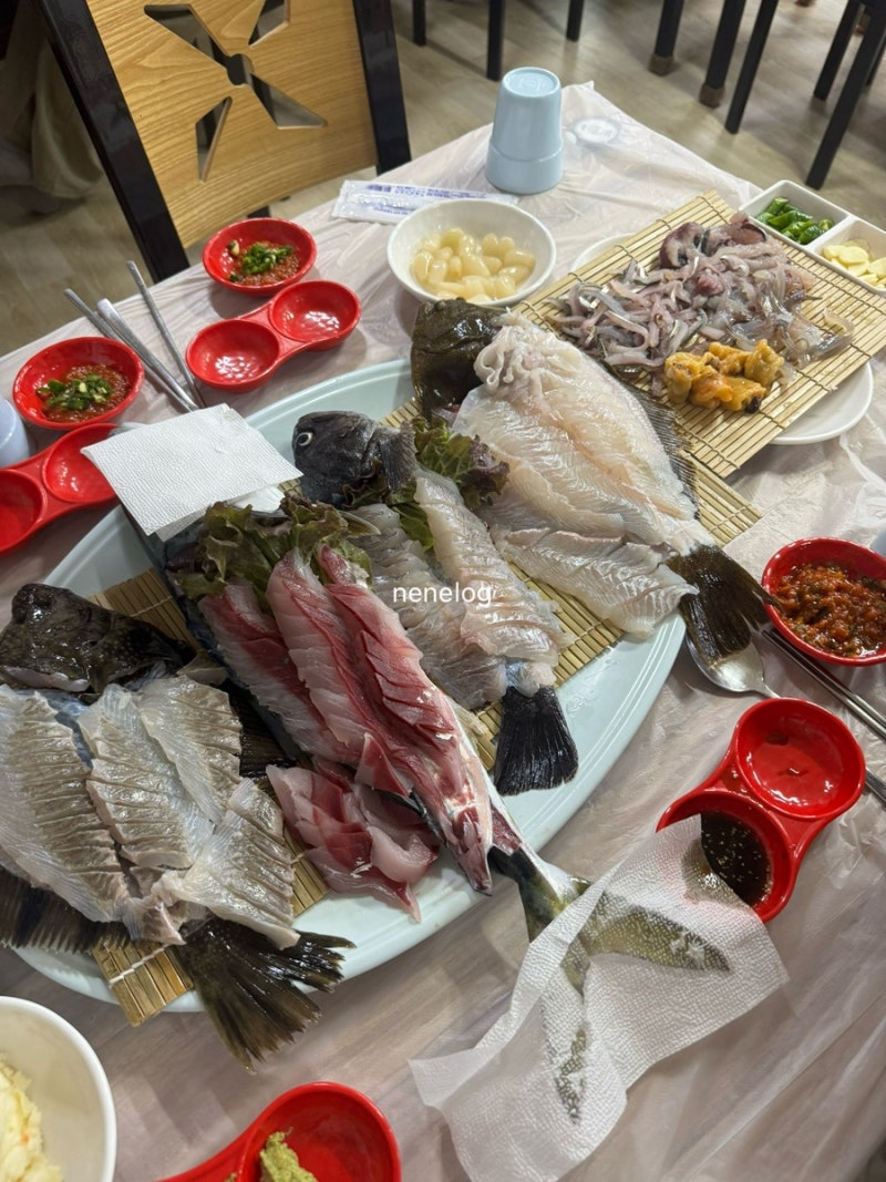 속초 가성비 회맛집 선창활어횟집 재방문 후기