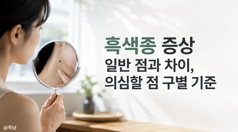 흑색종 증상 피부 흑색종 일반 점과 차이 의심할 점 구별 기준