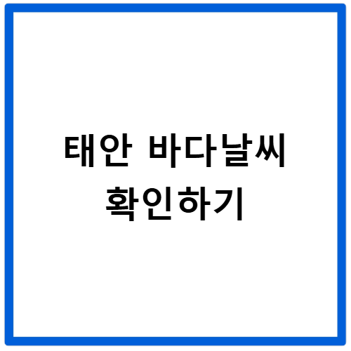태안 바다날씨 확인하기 기상청 실시간 예보 알아보기