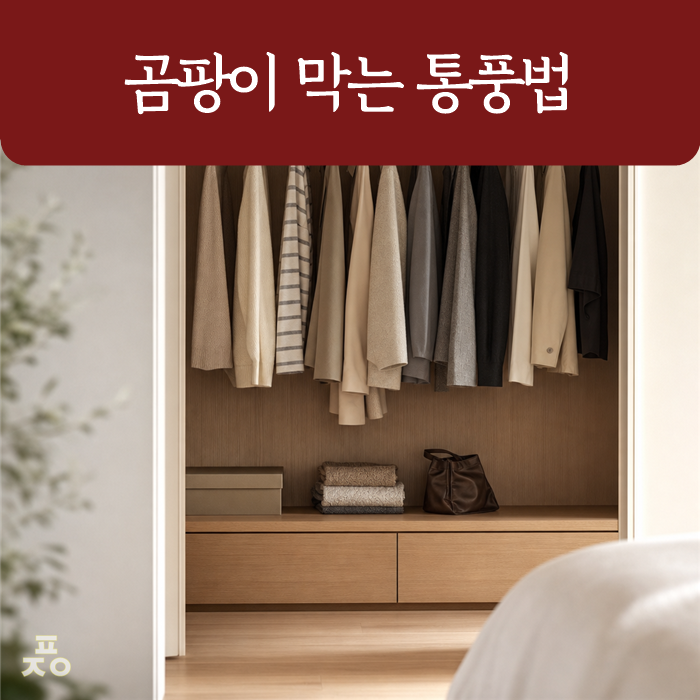 붙박이장 곰팡이 원인 5가지와 뒷판 간격과 환기의 중요성