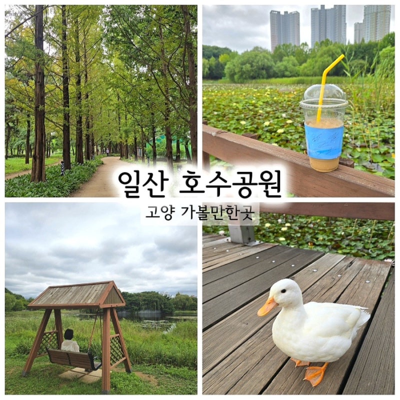 일산 호수공원 주차장 꿀팁 | 자전거 산책까지 아이와 가기 좋은 고양 가볼만한곳