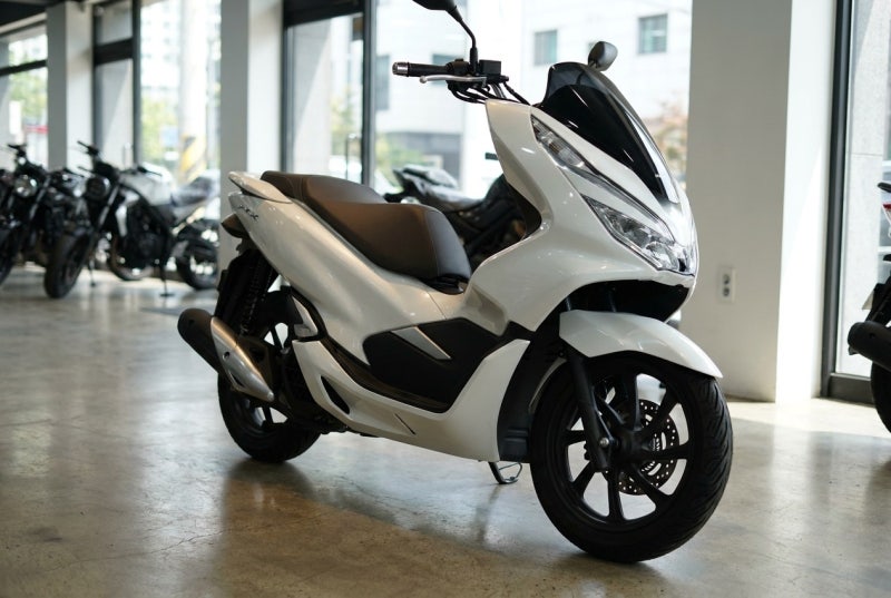 "이 가격이면 신차 왜 사?" PCX125 중고 시세 연식별 총정리