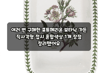 여러 번 구매한 포트메리온 보타닉 가든 직사각형 접시 혼합색상 1개 장점 정리했어요