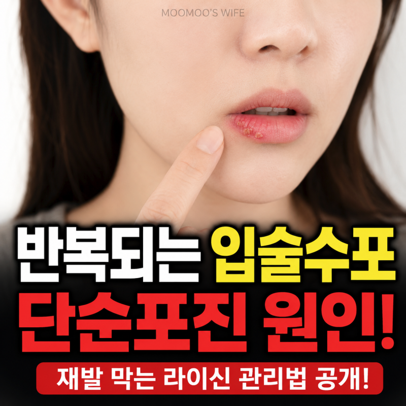입술수포 반복되는 단순포진 원인부터 라이신 관리까지