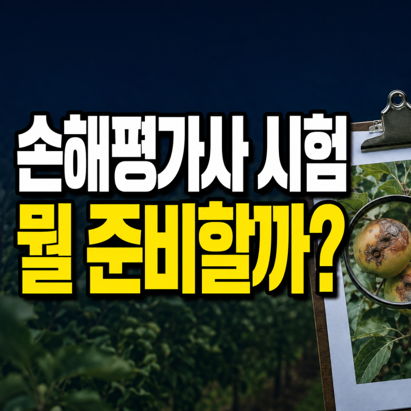 손해평가사 시험 응시자격｜과목·합격기준·하는 일