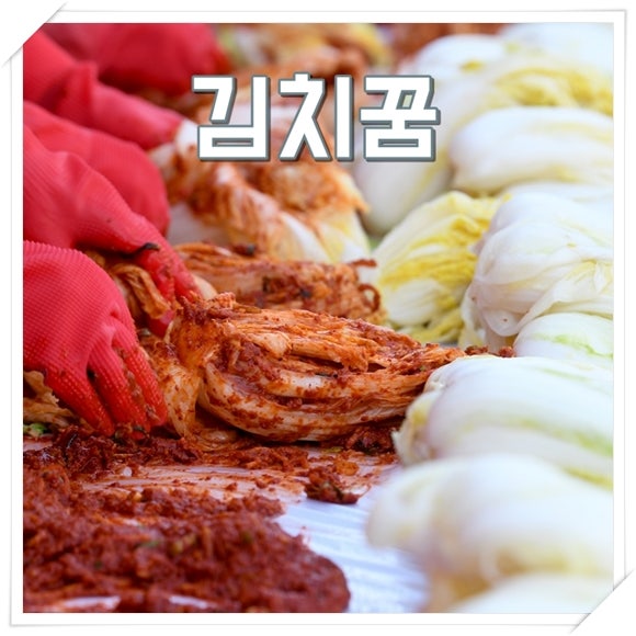 김치꿈 해몽 김치먹고배부른꿈 재밌는 상황별 풀이 모음