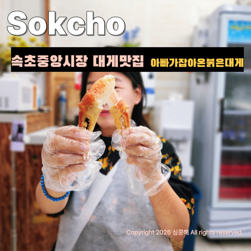 속초중앙시장 대게 맛집 포장까지 완벽했던 아빠가 잡아온 붉은 대게 수율 팩트 후기