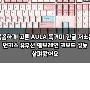 꼼꼼하게 고른 AULA 독거미 한글 저소음 펀키스 유무선 멤브레인 키보드 성능 살펴봤어요