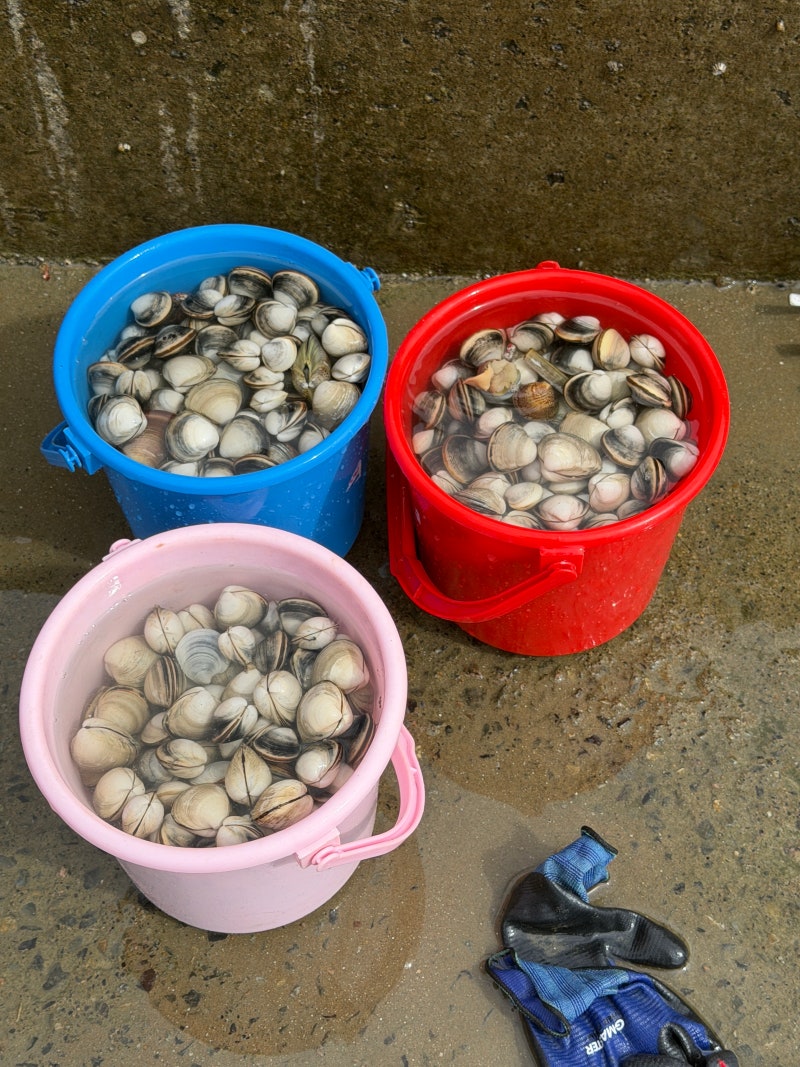 Taean Tidal Flat Experience Pension: Free Foraging Spot in Front of Your Room, Healing Camp Pension