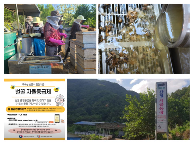 6시내고향 지리산꿀벌 순수 자연벌꿀 농장 지리산 산청 시골농장 택배주문방법