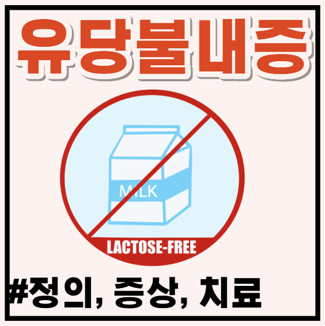 우유 마시면 복통 설사? 유당불내증 증상 원인 해결법