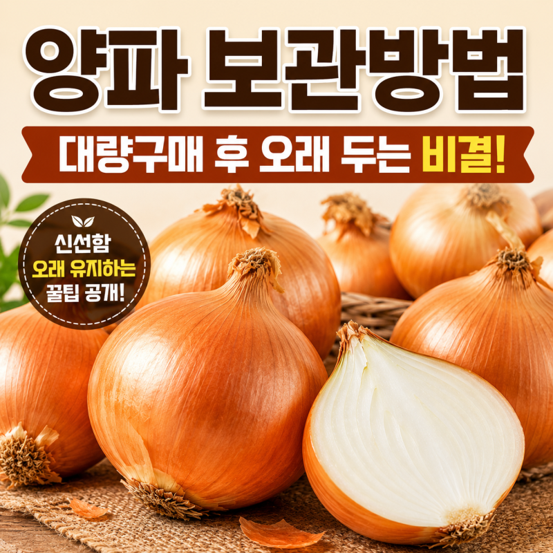 양파 보관방법 대량구매 후 오래 두는 비결