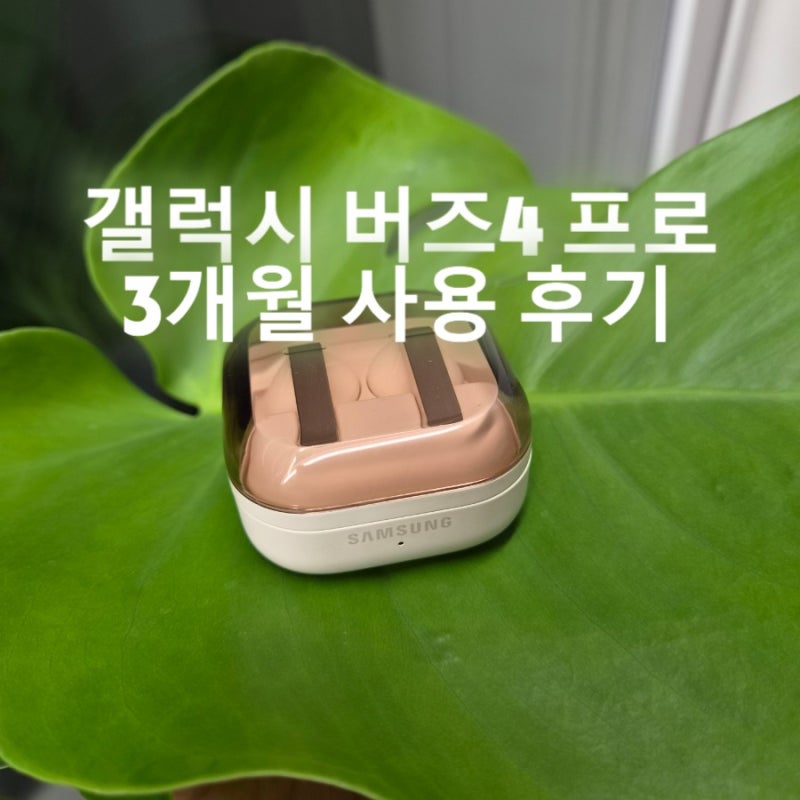 갤럭시 버즈4 프로 핑크골드 3개월 실사용 후기