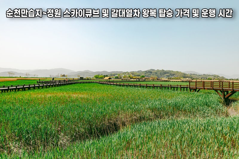 순천만습지~정원 스카이큐브 및 갈대열차 왕복 탑승 가격 및 운행 시간