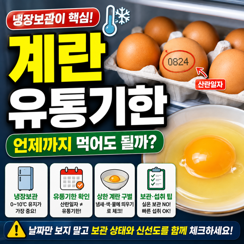 계란 유통기한, 냉장고에 한 달 지난 계란 먹어도 될까? 보관법·상한 계란 확인법