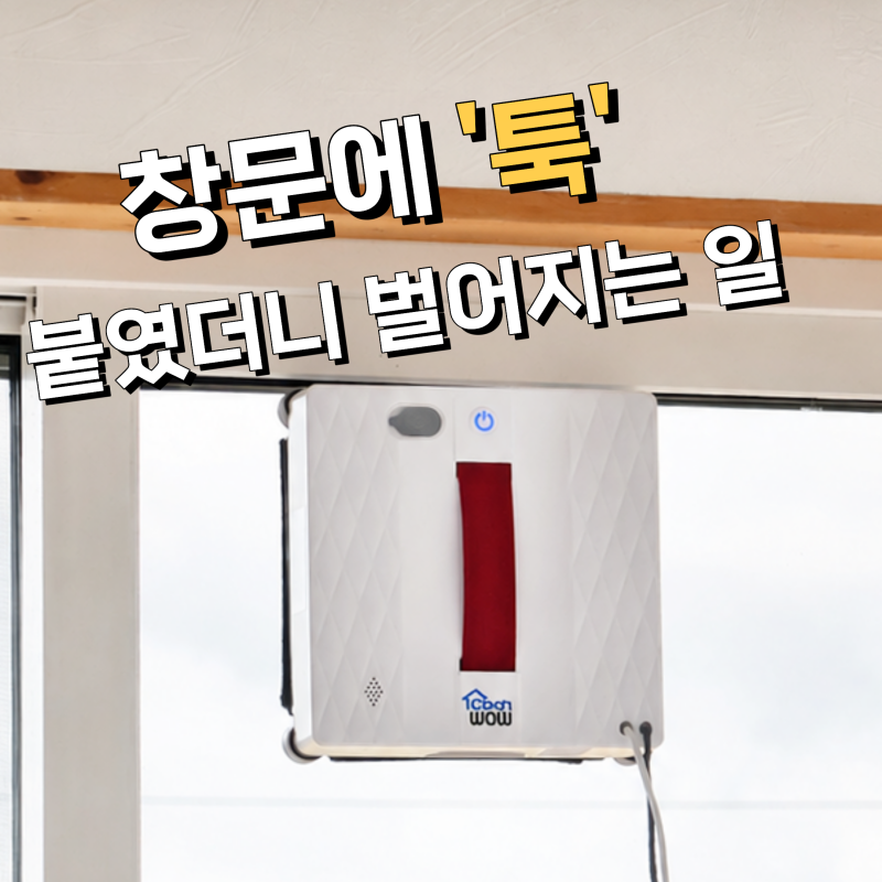 창문 로봇 청소기 비교 유리창 닦기 청소 도구 닦이 아파트 베란다 오쿠 클린와우 WS600 후기