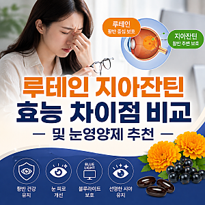 루테인 지아잔틴 효능 차이점 비교 및 눈영양제 추천