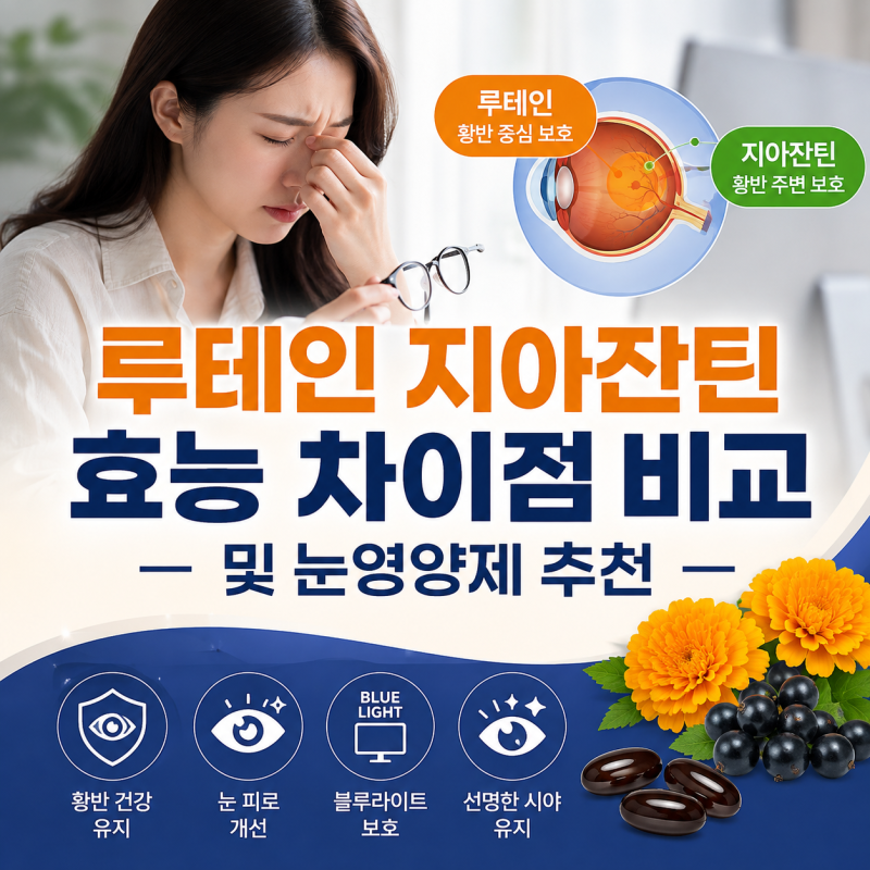 루테인 지아잔틴 효능 차이점 비교 및 눈영양제 추천