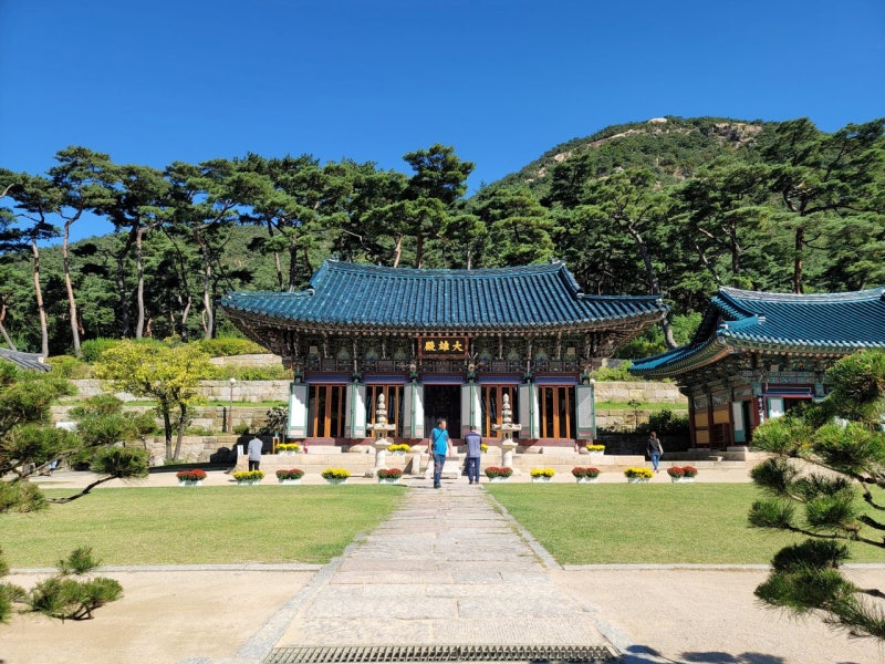 [은평구 산책 코스] 북한산 자락 아래 고즈넉한 힐링! 진관사·한옥마을·편백나무 숲길 총정....