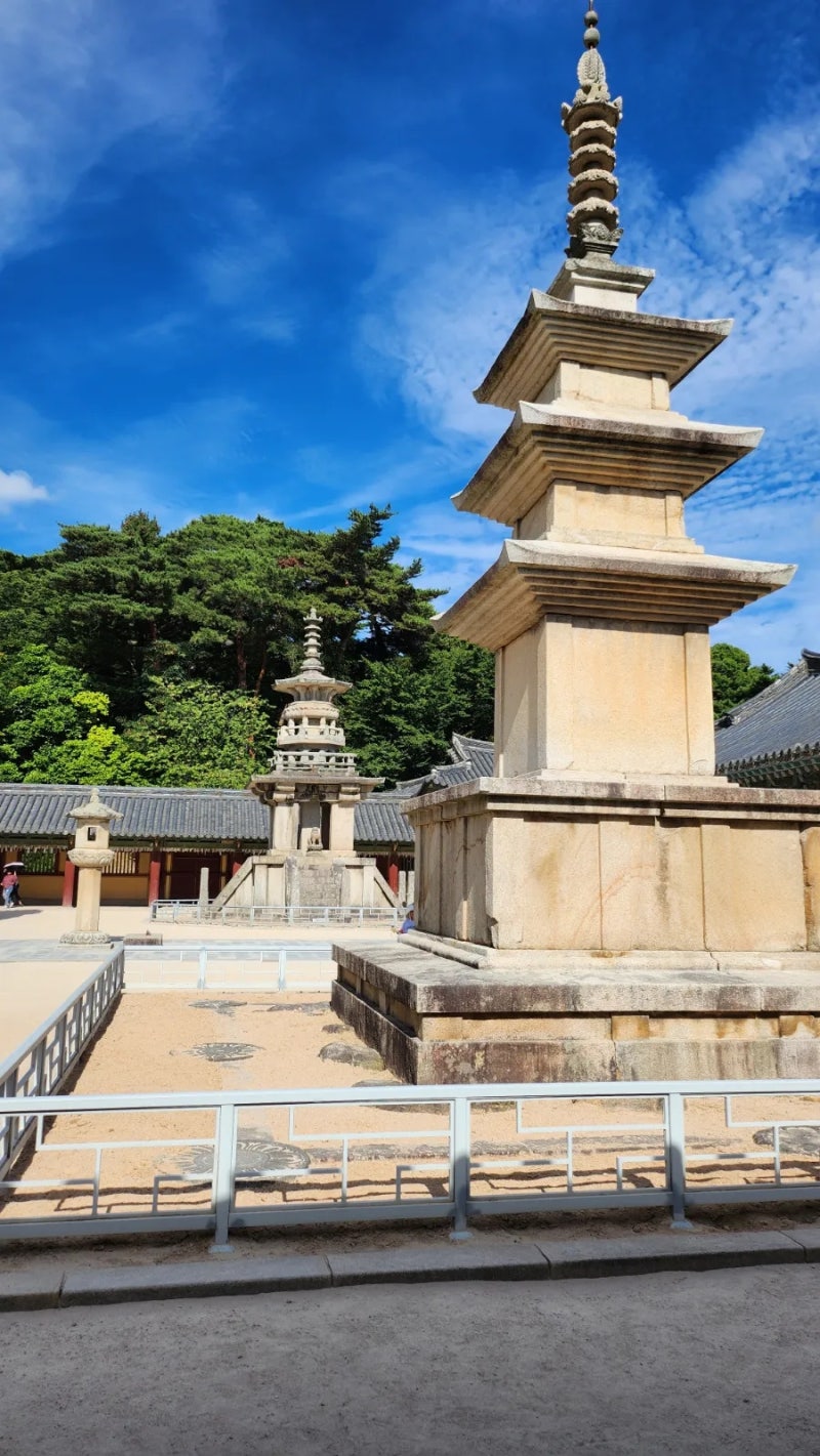 경주 여행코스 유네스코 세계유산 불국사 무료입장·주차·석가탑 다보탑 관람 후기 (경주가....