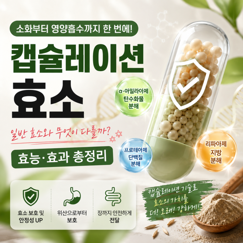 캡슐레이션 효소 효능·효과 총정리｜일반 효소와 무엇이 다를까?