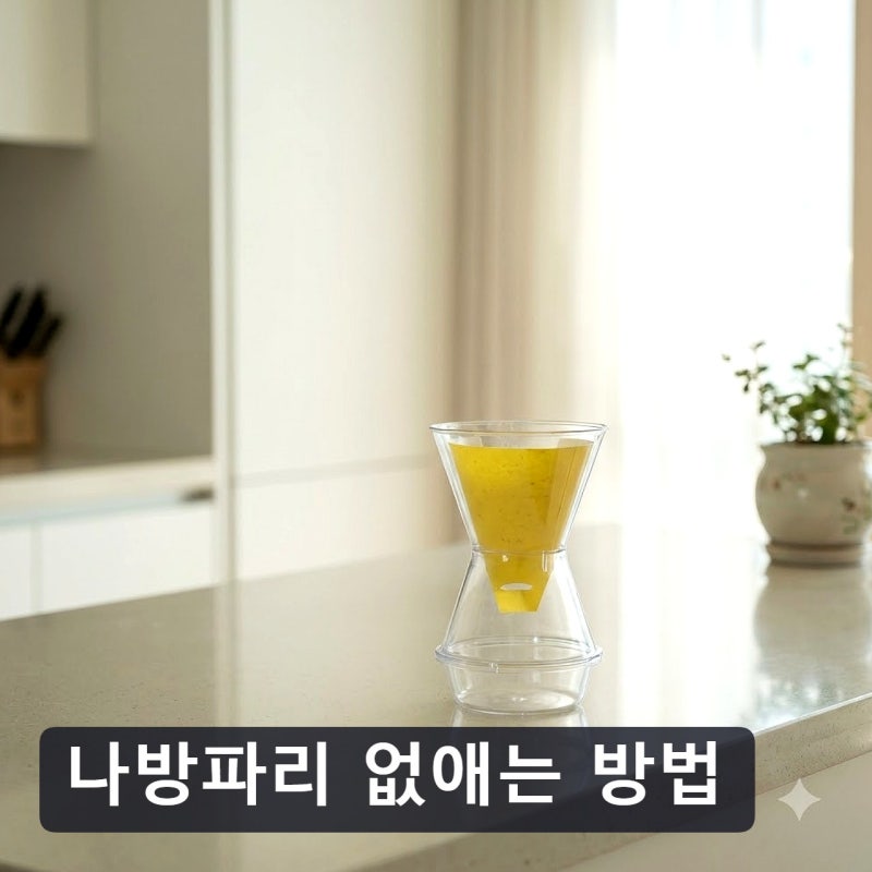 나방파리 없애는 방법, 욕실에 이 녀석 보인다면 지금 확인하세요