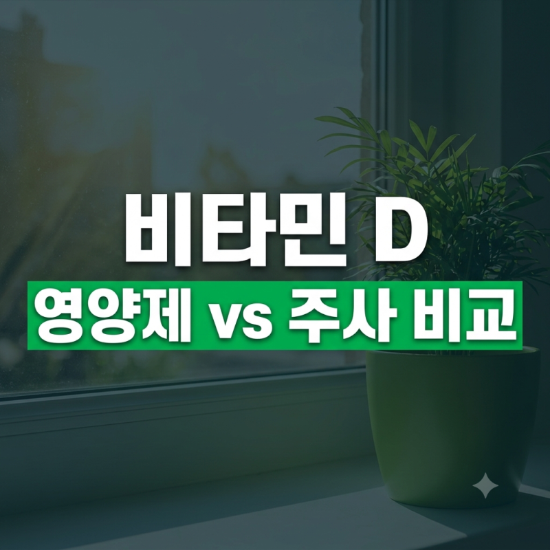 비타민D 결핍 치료: 영양제 매일 먹기 vs 3개월 주사 한 번? 비용과 흡수율 비교