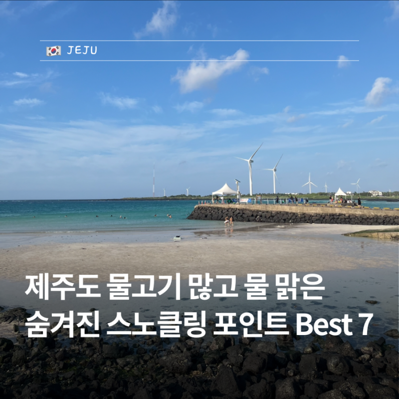 제주 스노쿨링 포인트 명소 BEST 7, 도민들이 몰래 찾는 찐 스팟