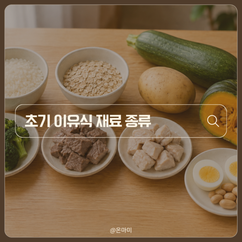 초기 이유식 재료 종류와 순서 채소 과일 고기 알레르기 확인법