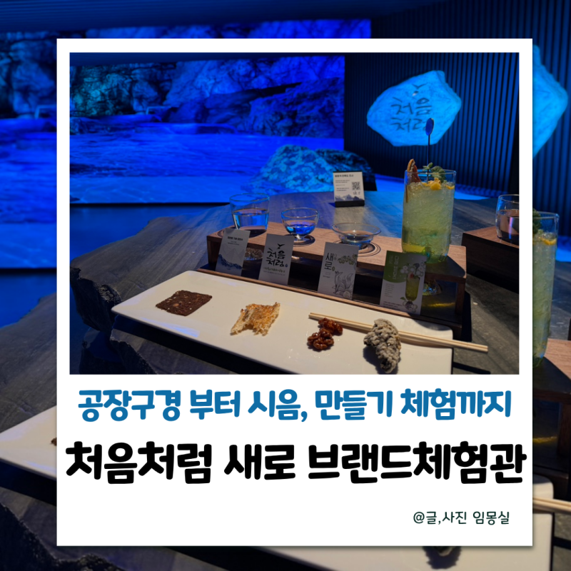 강릉 이색체험 추천 처음처럼 새로 체험관 시음 체험 후기