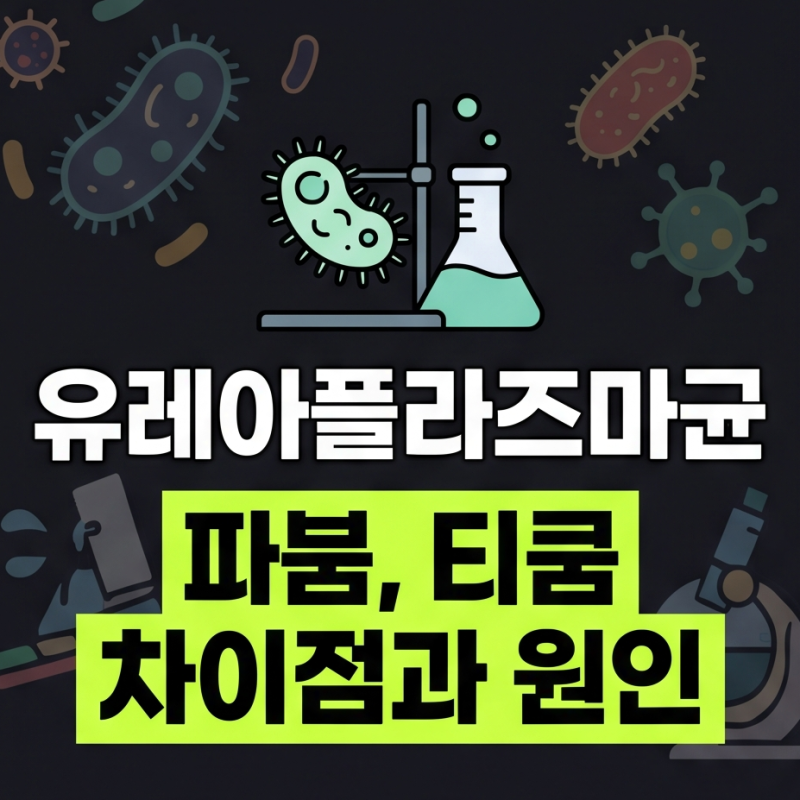 남자 여자 유레아플라즈마균 파붐, 티쿰 차이점과 원인 총정리 (성병일까?)