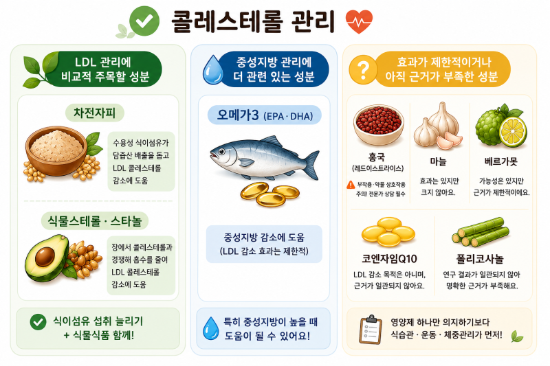 콜레스테롤에 좋다는 영양제/ 성분, 정말 효과가 있을까?