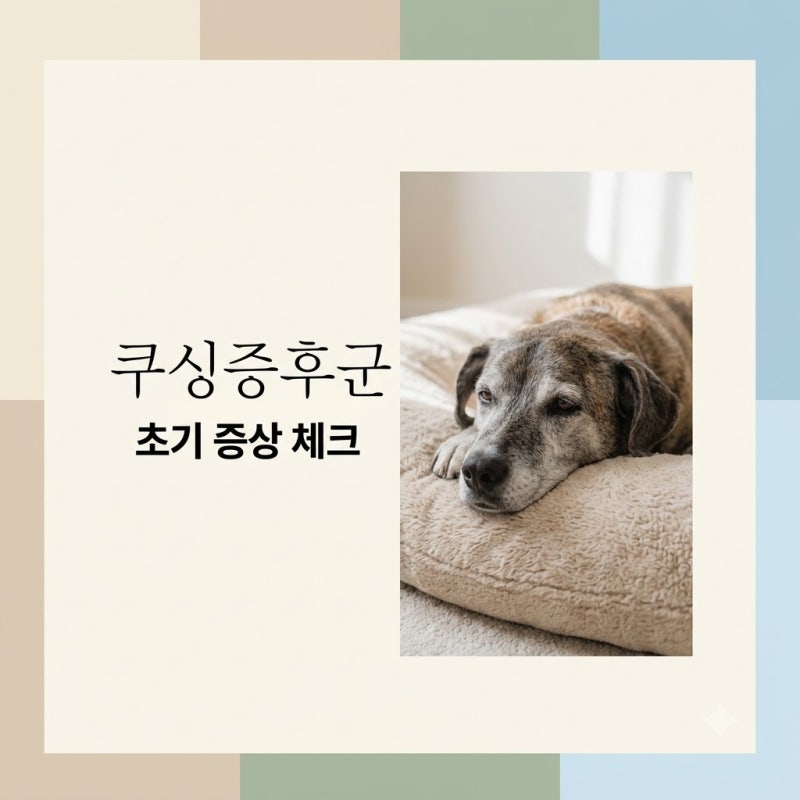 강아지 쿠싱증후군 증상 5가지와 원인 진단 검사 및 관리법